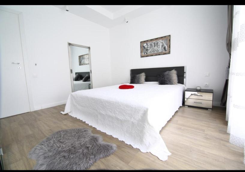 Ferienwohnung Casa Bella Stefanestii de Jos Exterior foto